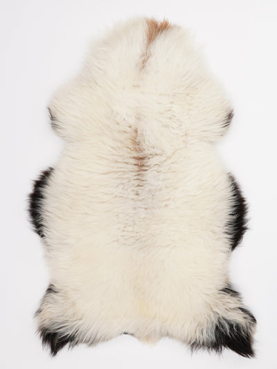 Multicolour Sheepskin Rug L
