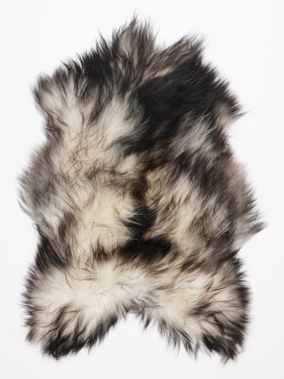 Pelle di pecora grigia islandese L