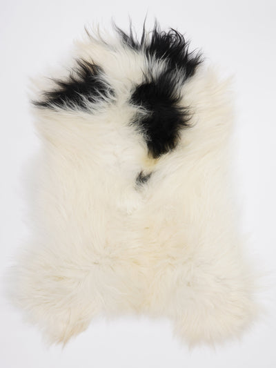 Pelle di pecora islandese multicolore L