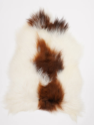 Icelandic sheepskin XL