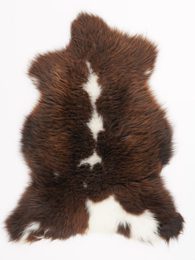 Multicolour Sheepskin Rug L