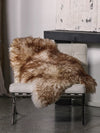 Mouflon sheepskin rug