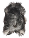Icelandic Grey Sheepskin Rug L