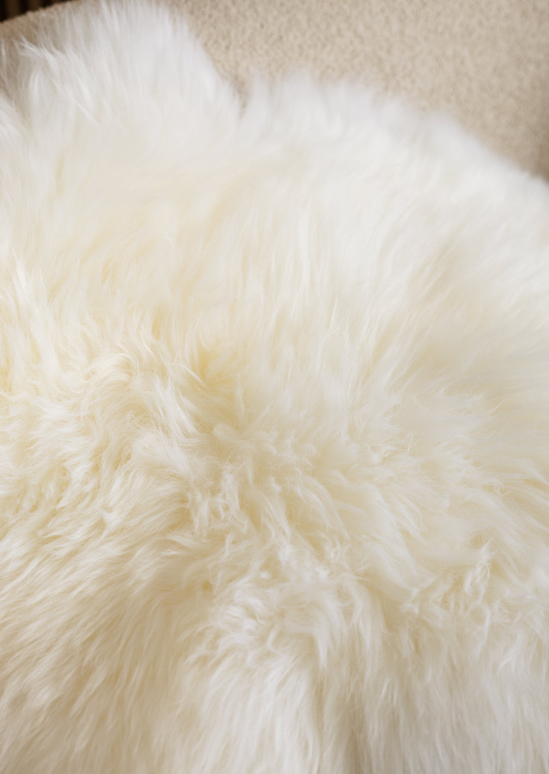 White sheepskin rug
