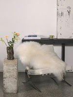 White icelandic sheepskin