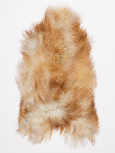 Pelle di pecora islandese multicolore L