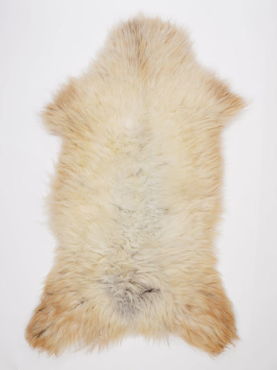 Icelandic Multicoloured Sheepskin Rug XXXL