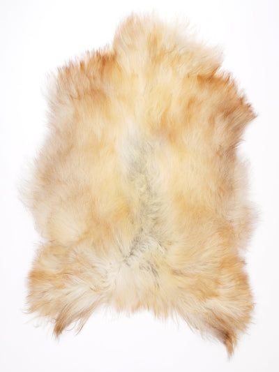 Icelandic Multicoloured Sheepskin Rug XL