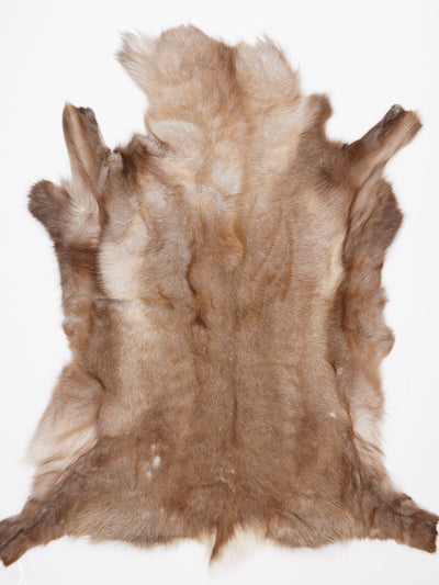 Reindeer Hide XXXL