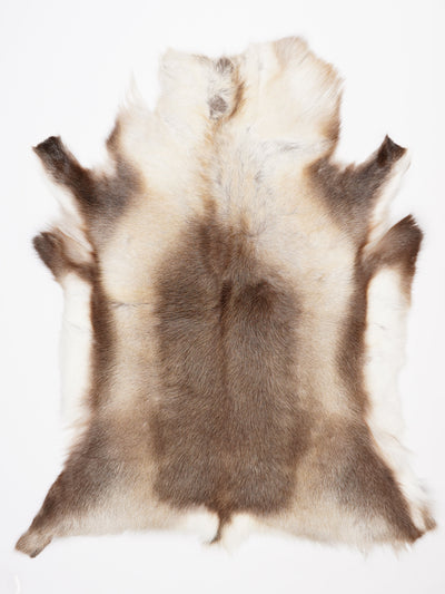Reindeer Hide XXL
