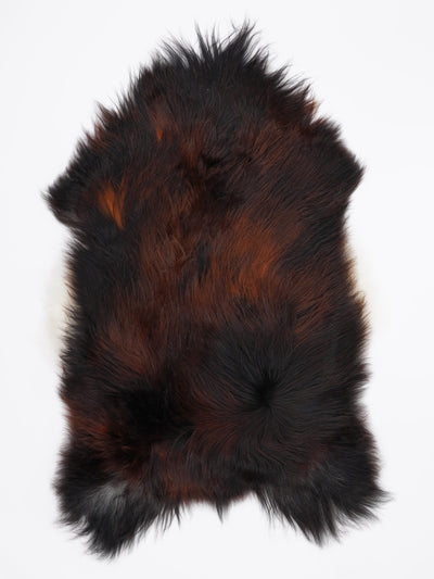 Pelle di pecora islandese multicolore L