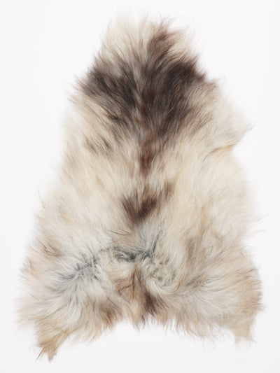 Pelle di pecora grigia islandese L