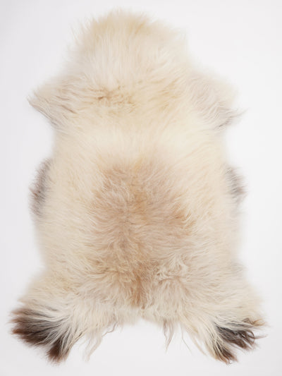 Icelandic Multicolour Sheepskin Rug XXXL