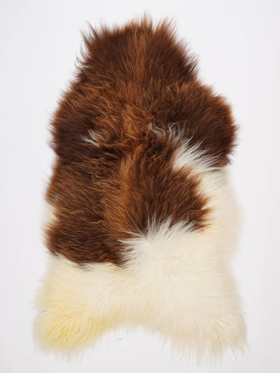 Pelle di pecora islandese multicolore XXXL