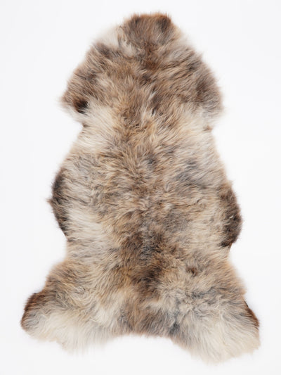 Pelle di pecora multicolore XXL