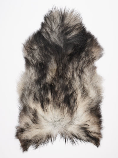 Pelle di pecora grigia islandese XXL