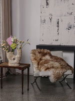 Mouflon sheepskin